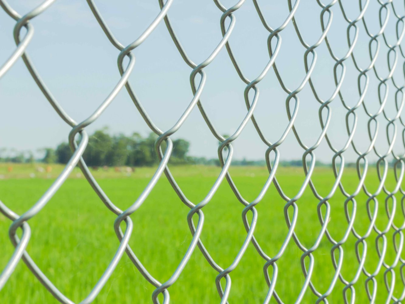 chain link fence Cooperstown New York