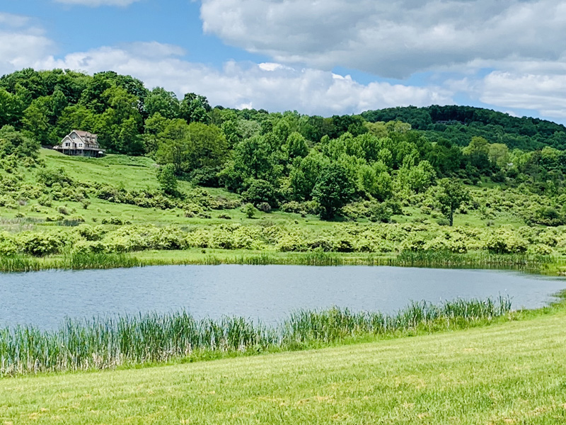 Retention Pond Installation Service in Central New York