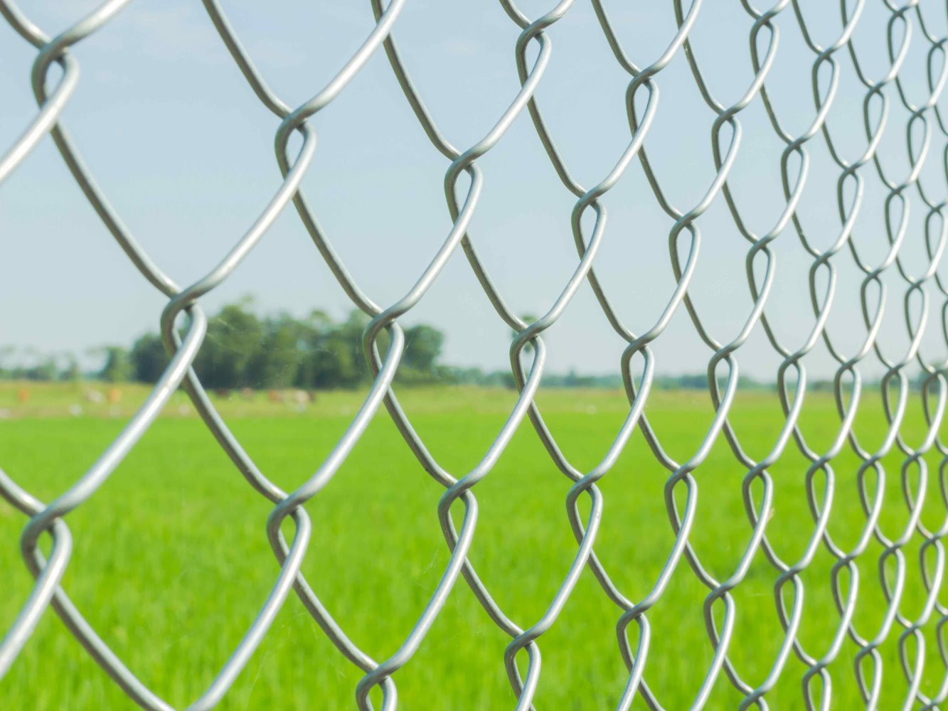 chain link fence Syracuse New York
